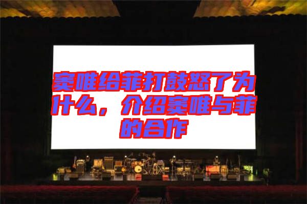 竇唯給菲打鼓怒了為什么，介紹竇唯與菲的合作