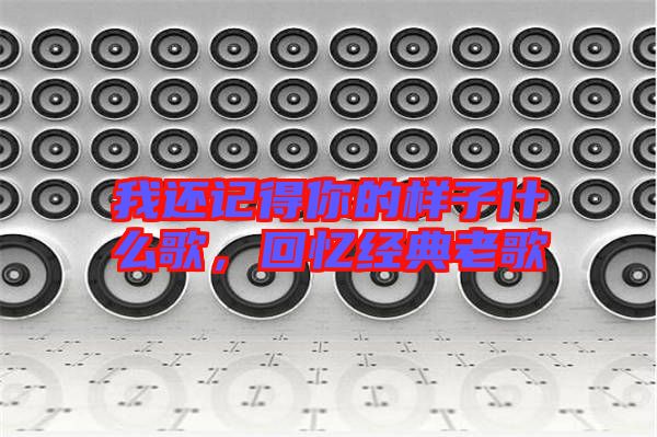 我還記得你的樣子什么歌，回憶經(jīng)典老歌