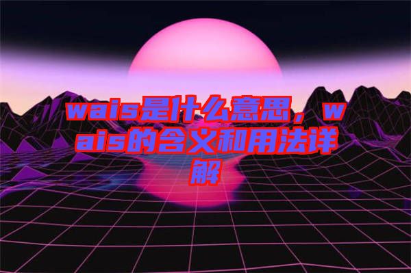 wais是什么意思，wais的含義和用法詳解