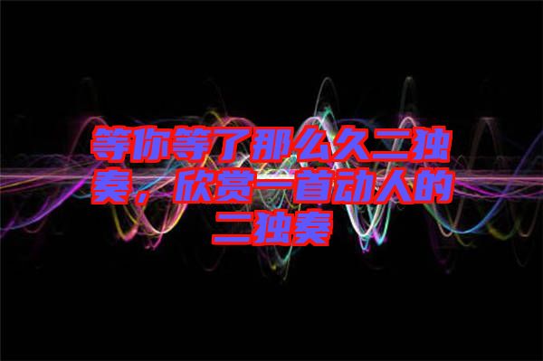 等你等了那么久二獨(dú)奏，欣賞一首動(dòng)人的二獨(dú)奏