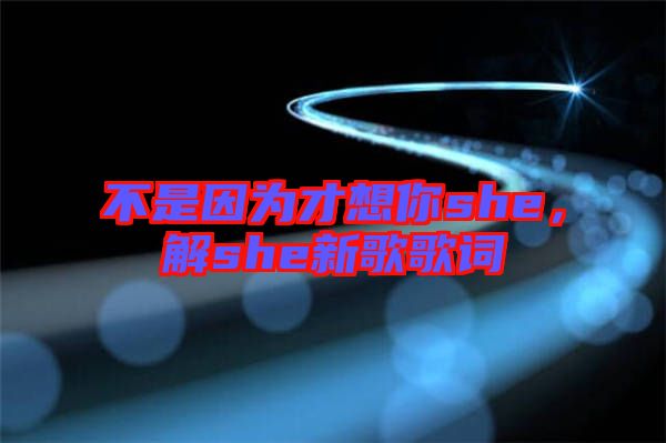 不是因?yàn)椴畔肽鉺he，解she新歌歌詞