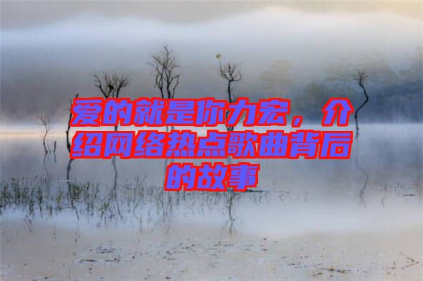 愛(ài)的就是你力宏，介紹網(wǎng)絡(luò)熱點(diǎn)歌曲背后的故事