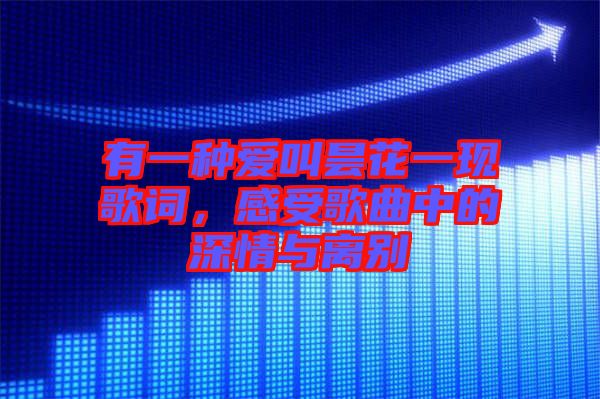 有一種愛叫曇花一現(xiàn)歌詞，感受歌曲中的深情與離別