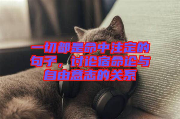 一切都是命中注定的句子，討論宿命論與自由意志的關(guān)系