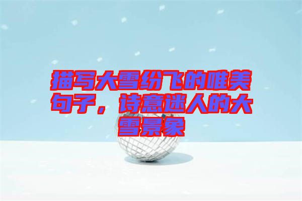 描寫大雪紛飛的唯美句子，詩(shī)意迷人的大雪景象