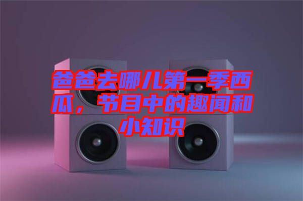 爸爸去哪兒第一季西瓜，節(jié)目中的趣聞和小知識(shí)