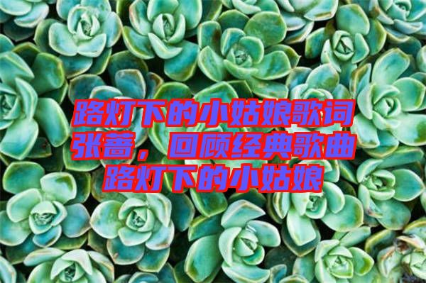 路燈下的小姑娘歌詞張薔，回顧經(jīng)典歌曲路燈下的小姑娘
