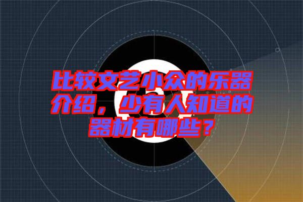比較文藝小眾的樂器介紹，少有人知道的器材有哪些？