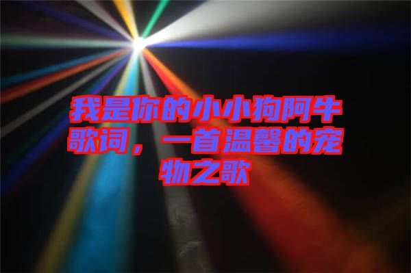 我是你的小小狗阿牛歌詞，一首溫馨的寵物之歌