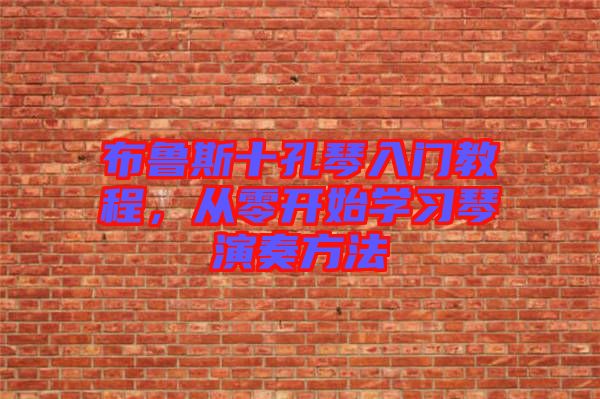 布魯斯十孔琴入門教程，從零開始學(xué)習(xí)琴演奏方法