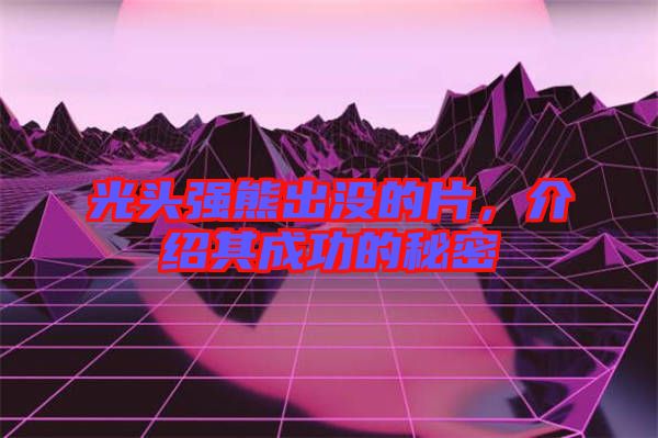 光頭強熊出沒的片，介紹其成功的秘密