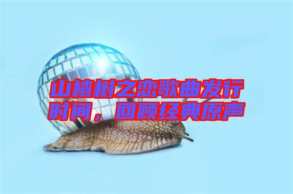 山楂樹之戀歌曲發(fā)行時間，回顧經(jīng)典原聲