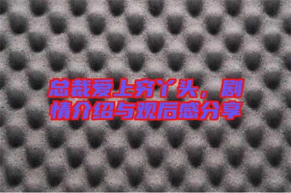 總裁愛上窮丫頭，劇情介紹與觀后感分享