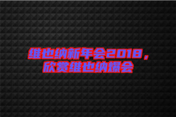 維也納新年會2018，欣賞維也納爆會