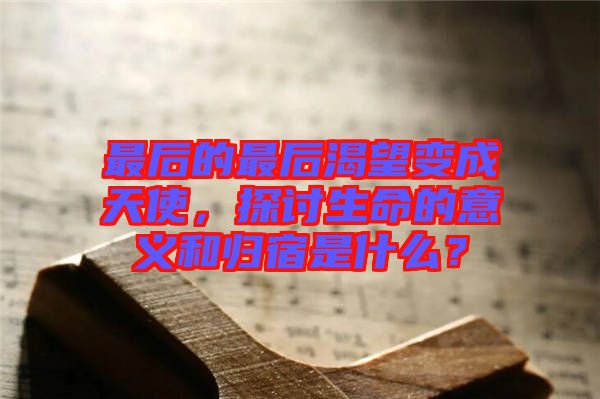 最后的最后渴望變成天使，探討生命的意義和歸宿是什么？