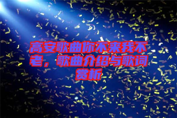 高安歌曲你不來(lái)我不老，歌曲介紹與歌詞賞析