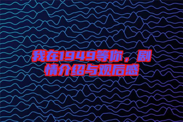 我在1949等你，劇情介紹與觀后感