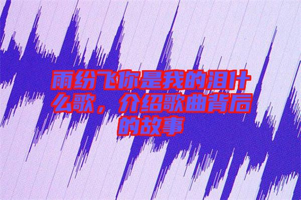 雨紛飛你是我的淚什么歌，介紹歌曲背后的故事