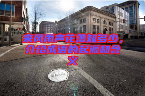 來風(fēng)雨聲花落知多少，介紹成語的起源和含義