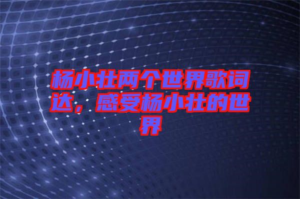 楊小壯兩個世界歌詞達(dá)，感受楊小壯的世界