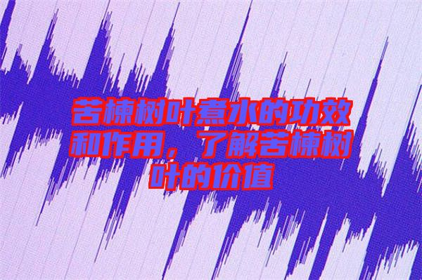 苦楝樹葉煮水的功效和作用，了解苦楝樹葉的價值