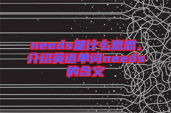 needs是什么意思，介紹英語單詞needs的含義