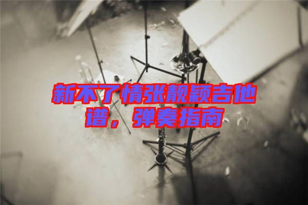 新不了情張靚穎吉他譜，彈奏指南