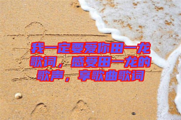 我一定要愛你田一龍歌詞，感受田一龍的歌聲，享歌曲歌詞