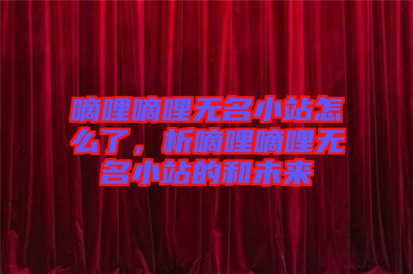 嘀哩嘀哩無名小站怎么了，析嘀哩嘀哩無名小站的和未來