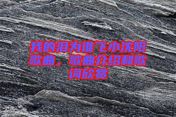 我的淚為誰飛小沈陽歌曲，歌曲介紹和歌詞欣賞