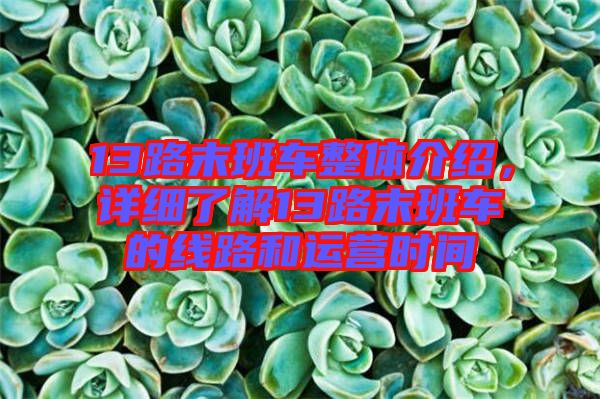 13路末班車整體介紹，詳細(xì)了解13路末班車的線路和運營時間