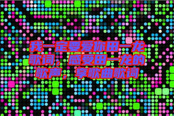 我一定要愛你田一龍歌詞，感受田一龍的歌聲，享歌曲歌詞