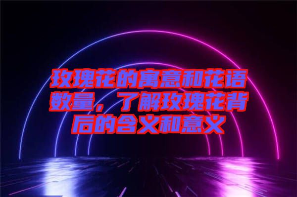 玫瑰花的寓意和花語(yǔ)數(shù)量，了解玫瑰花背后的含義和意義
