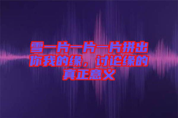 雪一片一片一片拼出你我的緣，討論緣的真正意義