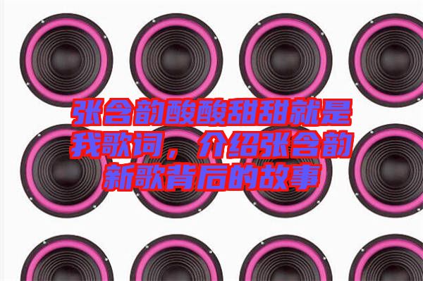 張含韻酸酸甜甜就是我歌詞，介紹張含韻新歌背后的故事