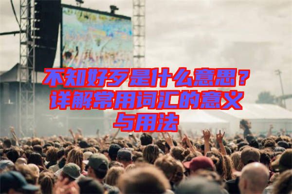 不知好歹是什么意思？詳解常用詞匯的意義與用法