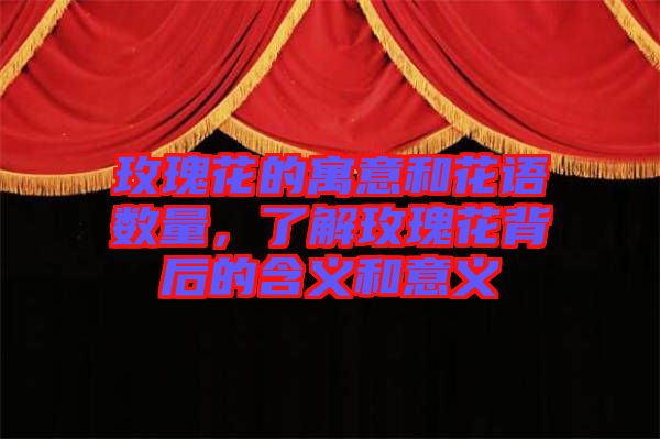 玫瑰花的寓意和花語數(shù)量，了解玫瑰花背后的含義和意義