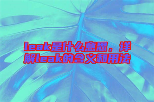 leak是什么意思，詳解leak的含義和用法