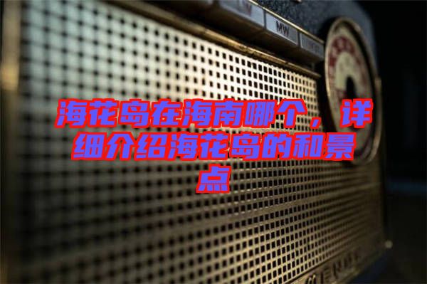 ?；◢u在海南哪個(gè)，詳細(xì)介紹?；◢u的和景點(diǎn)