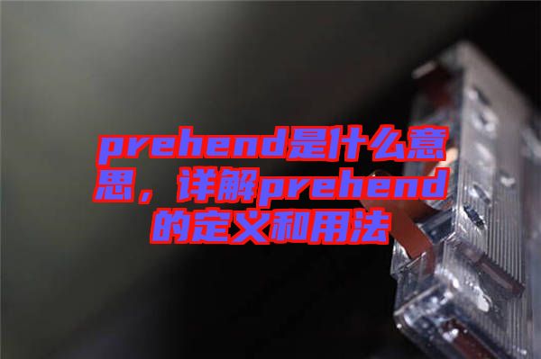 prehend是什么意思，詳解prehend的定義和用法