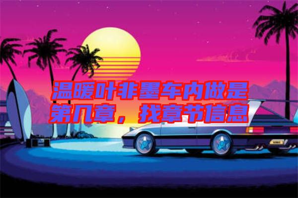 溫暖葉非墨車內(nèi)做是第幾章，找章節(jié)信息