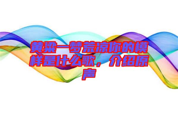 黃粱一夢荒涼你的模樣是什么歌，介紹原聲