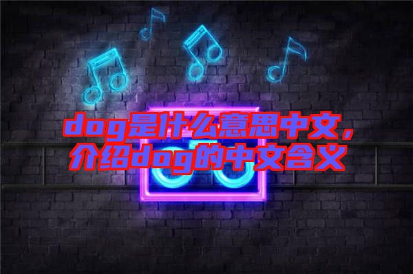 dog是什么意思中文，介紹dog的中文含義