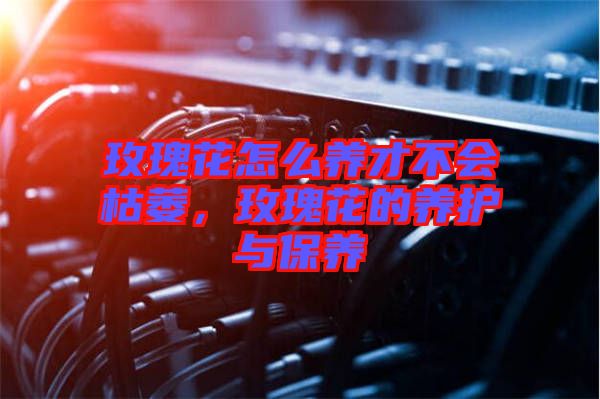 玫瑰花怎么養(yǎng)才不會枯萎，玫瑰花的養(yǎng)護與保養(yǎng)