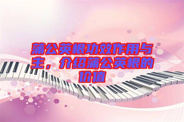 蒲公英根功效作用與主，介紹蒲公英根的價值