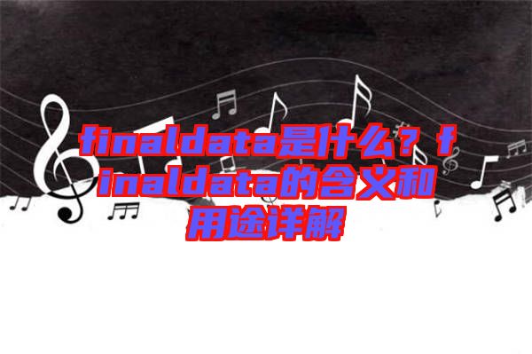 finaldata是什么？finaldata的含義和用途詳解