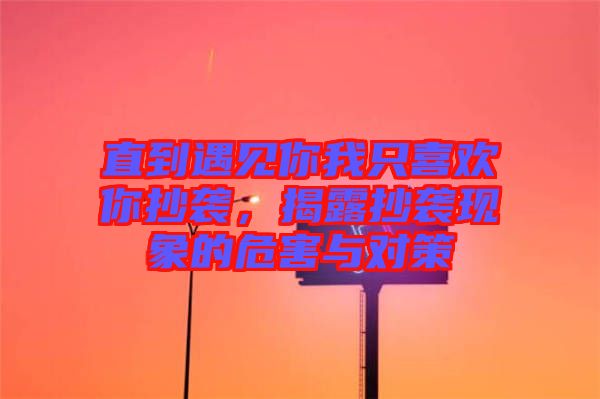 直到遇見你我只喜歡你抄襲，揭露抄襲現(xiàn)象的危害與對策