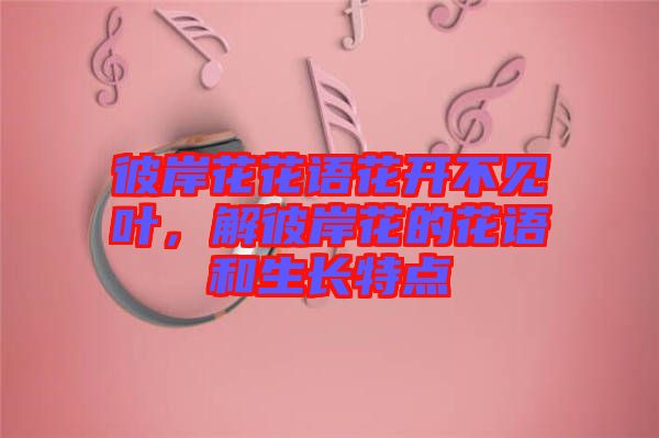 彼岸花花語(yǔ)花開不見(jiàn)葉，解彼岸花的花語(yǔ)和生長(zhǎng)特點(diǎn)