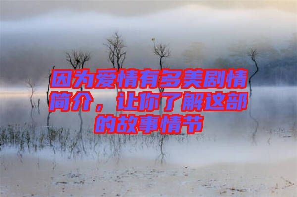 因?yàn)閻?ài)情有多美劇情簡(jiǎn)介，讓你了解這部的故事情節(jié)