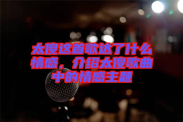 太傻這首歌達(dá)了什么情感，介紹太傻歌曲中的情感主題